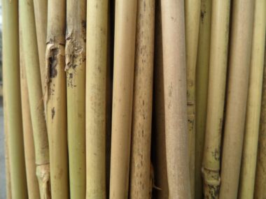 tuteur-bambou-rond-h-90cm-diam-8-10mm