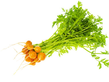 carotte-courte-marche-de-paris