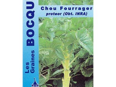 chou-fourrager-proteor-branchu
