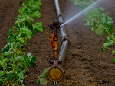 devis-irrigation