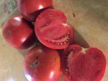 tomate-amelioree-de-montlhery-bio