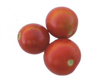 tomate-belle-arlesienne-bio