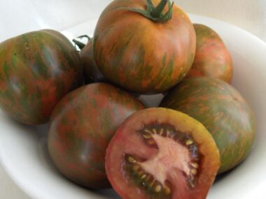 tomate-black-zebra-50-gn