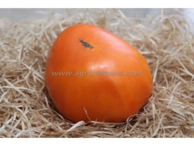 tomate-cdeb-persimon-50gn