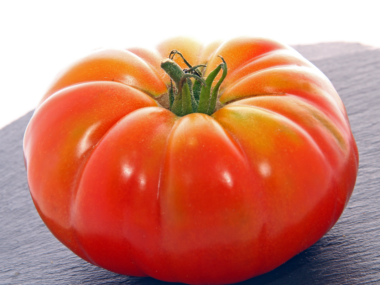 tomate-marmande-vr