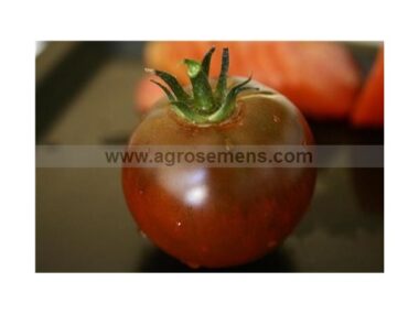 tomate-noire-russe-charbonne-50-gn