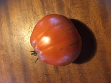 tomate-or-pera-dabruzzo50-gn