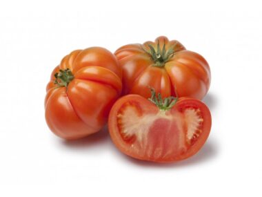 tomate-potiron-ecarlate-bio