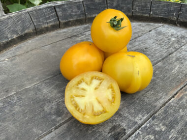 tomate-taxi-yellow-bio