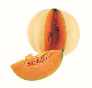 melon-diamex-bio